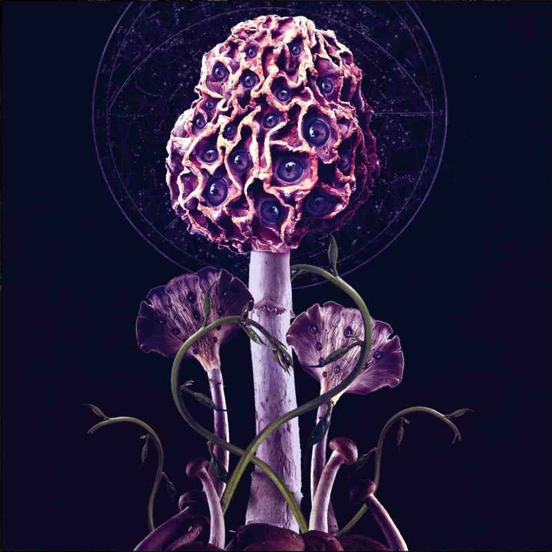 BLUT AUS NORD - Hallucinogen Re-Release DIGI